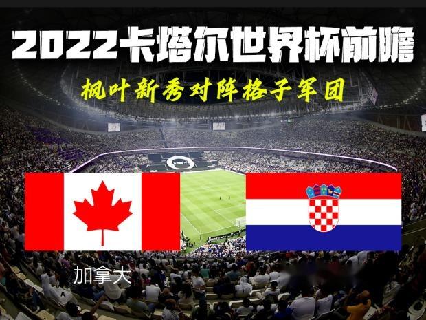 包含卡塔尔球队实力不容小觑，外界看好晋级前景的词条